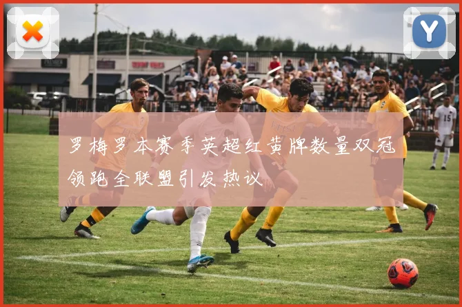 罗梅罗本赛季英超红黄牌数量双冠领跑全联盟引发热议