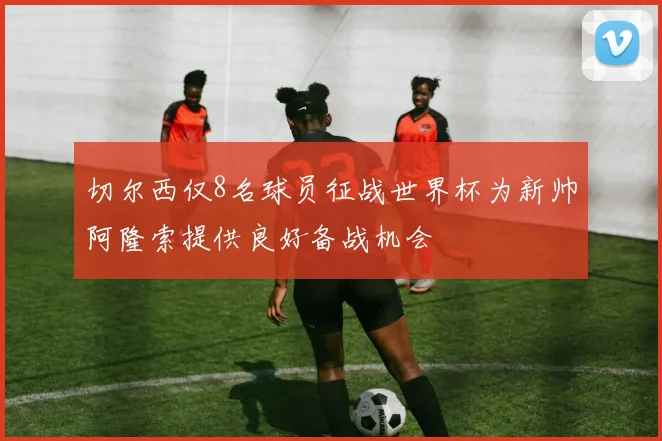 切尔西仅8名球员征战世界杯为新帅阿隆索提供良好备战机会