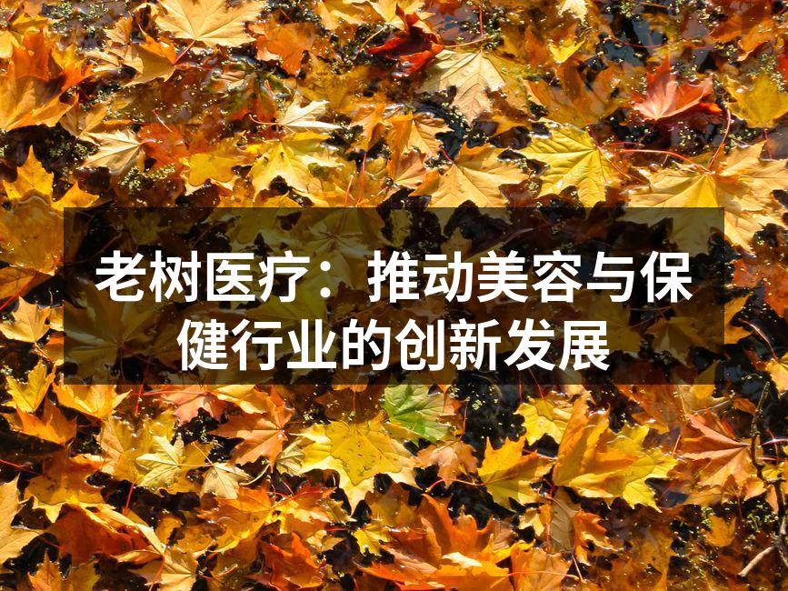老树医疗：推动美容与保健行业的创新发展