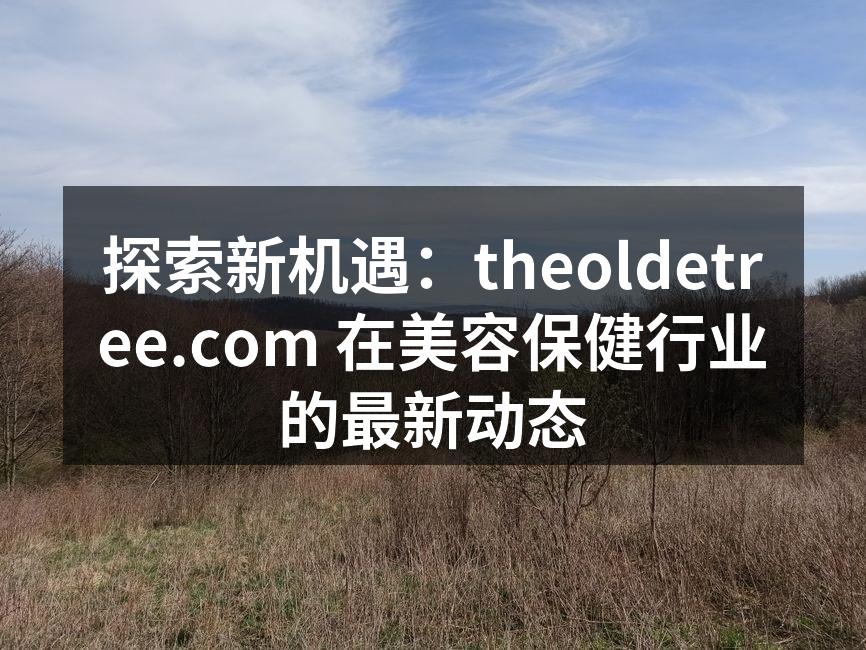 探索新机遇：theoldetree.co